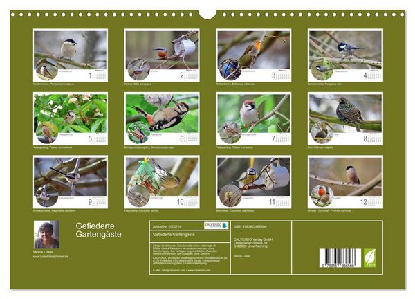 Produktbild: Gefiederte Garteng&auml;ste (Wandkalender 2026 DIN A3 quer), CALVENDO Monatskalender