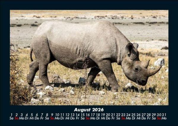 Produktbild: Tiere im Zoo 2026 Fotokalender DIN A5