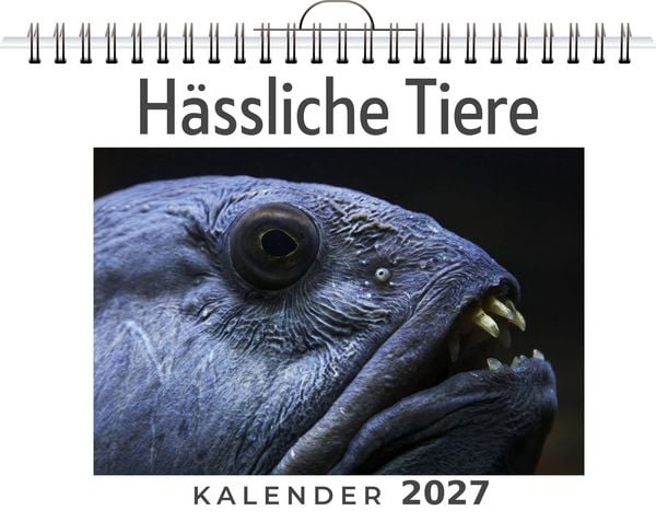 Produktbild: H&auml;ssliche Tiere
