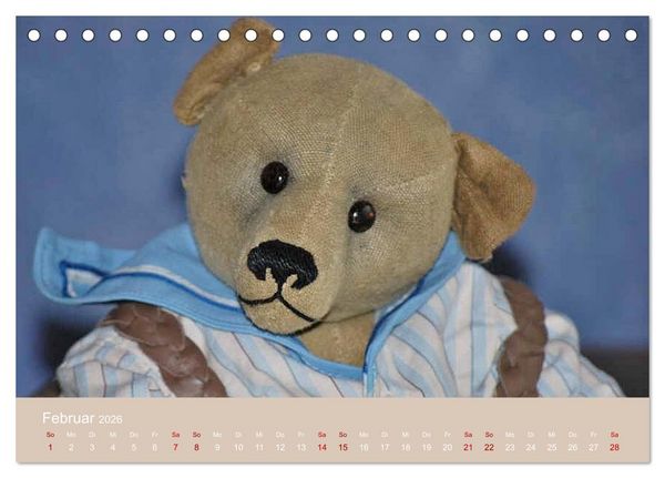 Produktbild: Robin der B&auml;r (Tischkalender 2026 DIN A5 quer), CALVENDO Monatskalender