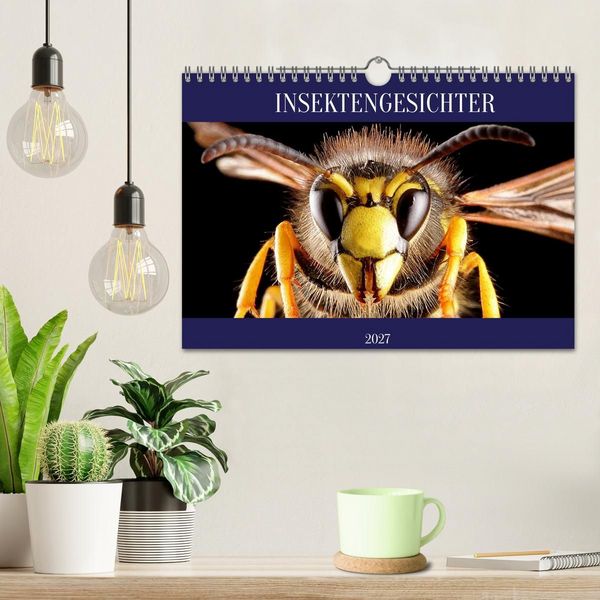 Produktbild: INSEKTENGESICHTER (Wandkalender 2027 DIN A4 quer), CALVENDO Monatskalender