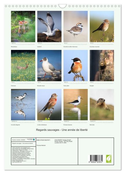 Produktbild: Regards sauvages - Une ann&eacute;e de libert&eacute; (Calendrier mural 2027 DIN A3 horizontal), CALVENDO calendrier mensuel