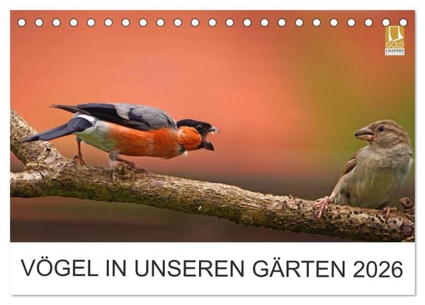Produktbild: V&ouml;gel in unseren G&auml;rten 2026 (Tischkalender 2026 DIN A5 quer), CALVENDO Monatskalender