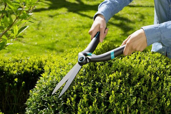 Produktbild: GARDENA PrecisionCut Hand Heckenschere