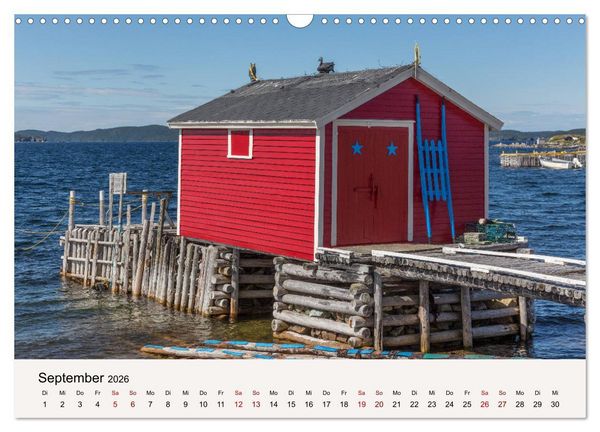 Produktbild: Neufundland Impressionen 2026 (Wandkalender 2026 DIN A3 quer), CALVENDO Monatskalender