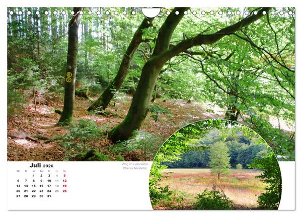 Produktbild: Der Grimmsteig (Wandkalender 2026 DIN A4 quer), CALVENDO Monatskalender