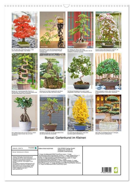 Produktbild: Bonsai: Gartenkunst im Kleinen (Wandkalender 2026 DIN A2 hoch), CALVENDO Monatskalender