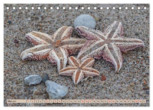 Produktbild: Timmendorfer Strand - Urlaubsparadies an der Ostsee (Tischkalender 2027 DIN A5 quer), CALVENDO Monatskalender