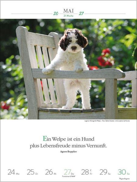 Produktbild: Literaturkalender Hunde 2027