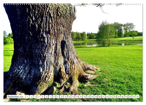 Produktbild: Gr&uuml;nes Estland - Naturparadies am Baltischen Meer (Wandkalender 2026 DIN A2 quer), CALVENDO Monatskalender