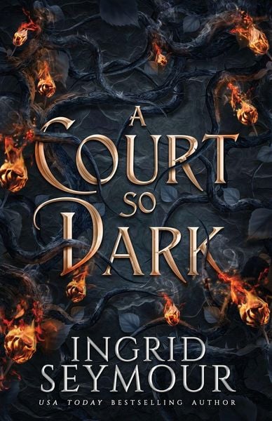 Produktbild: A Court So Dark