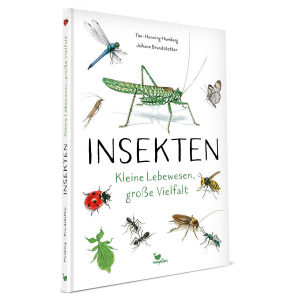 Produktbild: Insekten - Kleine Lebewesen, gro&szlig;e Vielfalt