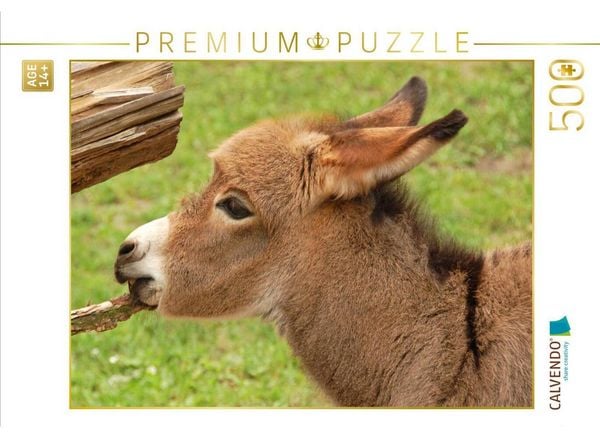 CALVENDO Puzzle Gourmet | 500 Teile Lege-Größe 48 × 36 cm Foto-Puzzle für Erwachsene