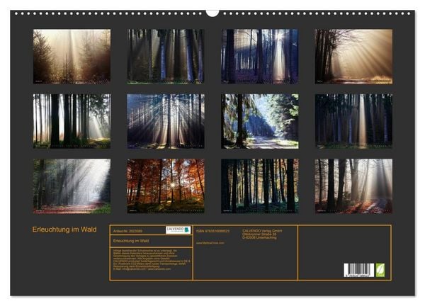 Produktbild: Erleuchtung im Wald (Wandkalender 2026 DIN A2 quer), CALVENDO Monatskalender