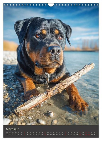 Produktbild: Rottweiler. Kraft, Herz und Treue (Wandkalender 2027 DIN A3 hoch), CALVENDO Monatskalender