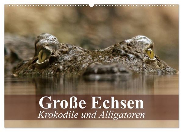 Produktbild: Gro&szlig;e Echsen. Krokodile und Alligatoren (Wandkalender 2026 DIN A2 quer), CALVENDO Monatskalender