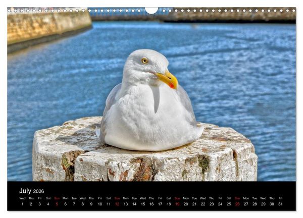 Produktbild: Whitby Harbour (Wall Calendar 2026 DIN A3 landscape), CALVENDO 12 Month Wall Calendar