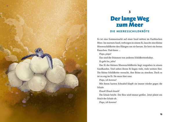 Produktbild: Gute Nacht, kleiner Koala &ndash; 20 tierische Einschlafgeschichten