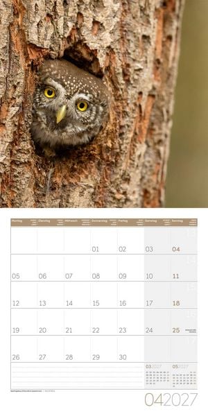 Produktbild: Eulen Kalender 2027 - 30x30 - Art12