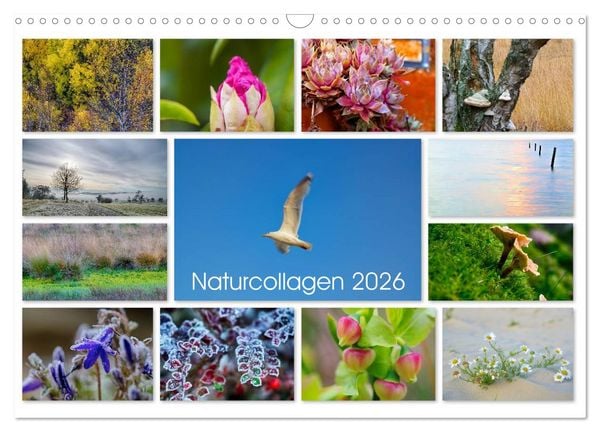 Produktbild: Naturcollagen 2026 (Wandkalender 2026 DIN A3 quer), CALVENDO Monatskalender