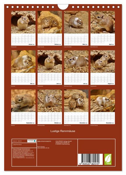 Produktbild: Lustige Rennm&auml;use (Wandkalender 2026 DIN A4 hoch), CALVENDO Monatskalender
