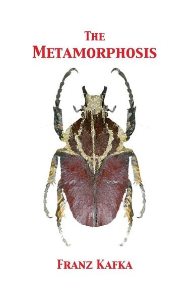 Produktbild: The Metamorphosis