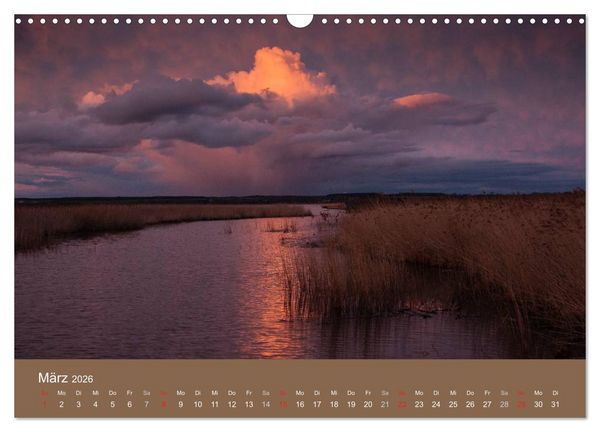 Produktbild: Der Federsee - Vogelparadies in Oberschwaben (Wandkalender 2026 DIN A3 quer), CALVENDO Monatskalender