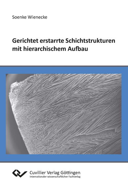Produktbild: Gerichtet erstarrte Schichtstrukturen mit hierarchischem Aufbau