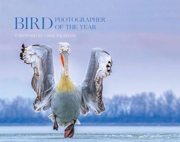 Produktbild: Bird Photographer of the Year