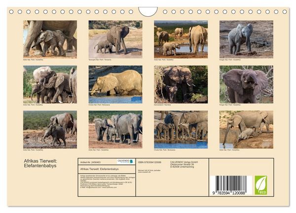 Produktbild: Afrikas Tierwelt: Elefantenbabys (Wandkalender 2027 DIN A4 quer), CALVENDO Monatskalender