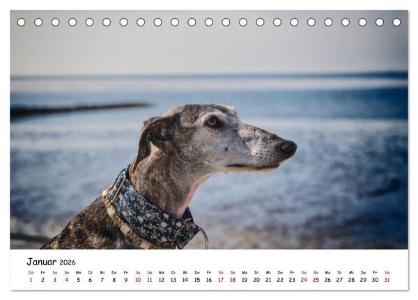 Produktbild: Strandurlaub mit Hund (Tischkalender 2026 DIN A5 quer), CALVENDO Monatskalender