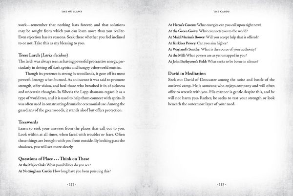 Produktbild: The Sherwood Oracle
