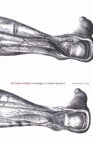 Produktbild: The Body Multiple