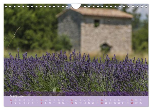 Produktbild: Die Farbe des Lavendels (Wandkalender 2026 DIN A4 quer), CALVENDO Monatskalender