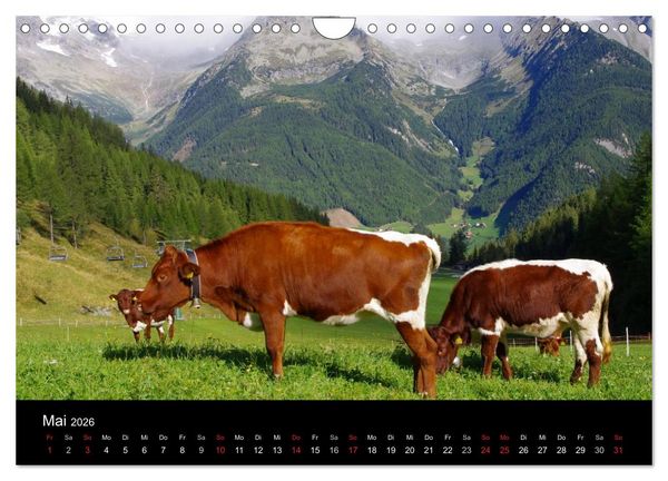 Produktbild: S&uuml;dtirol 2026 (Wandkalender 2026 DIN A4 quer), CALVENDO Monatskalender
