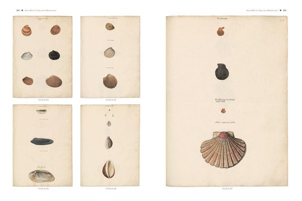 Produktbild: Conrad Gessners Thierbuch