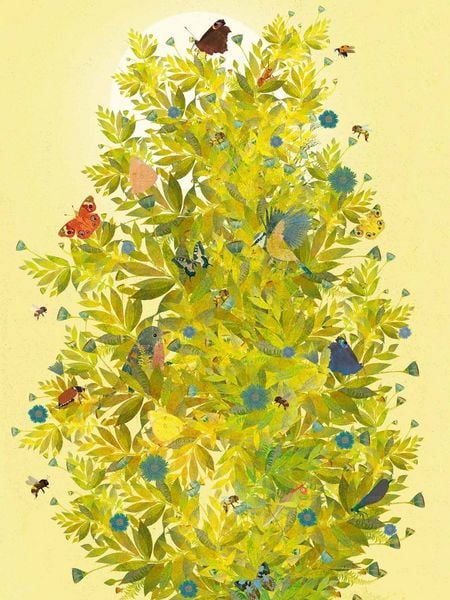 Produktbild: Wunderbare Natur