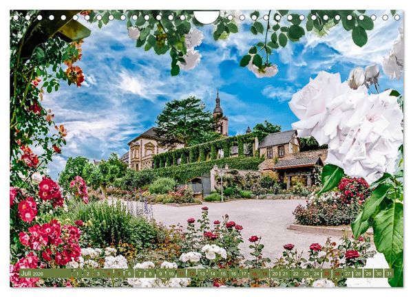 Produktbild: Eltville am Rhein - Wein, Sekt, Rosen (Wandkalender 2026 DIN A4 quer), CALVENDO Monatskalender