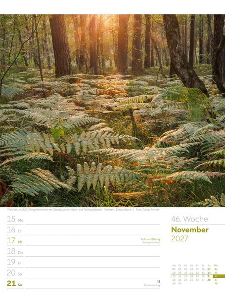 Produktbild: Unser Wald Wochenplaner Kalender 2027
