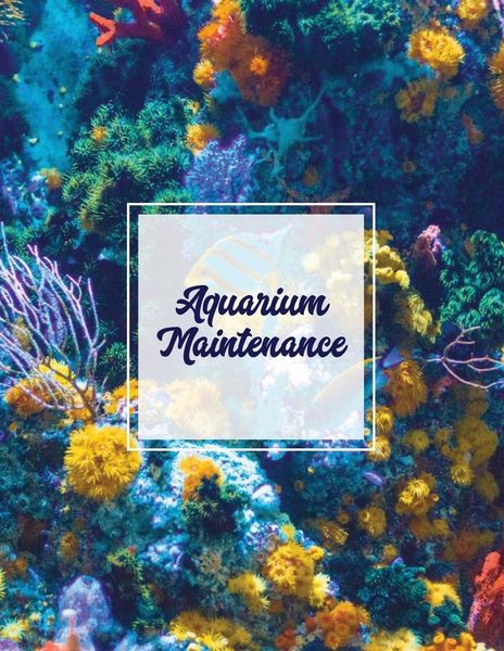 Produktbild: Aquarium Maintenance