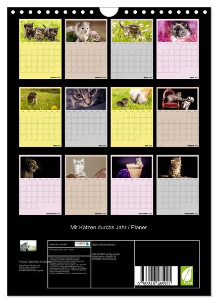 Produktbild: Mit Katzen durchs Jahr / Planer (Wandkalender 2026 DIN A4 hoch), CALVENDO Monatskalender
