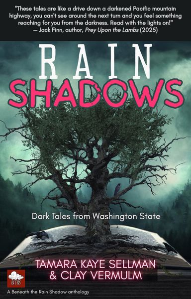 Produktbild: Rain Shadows