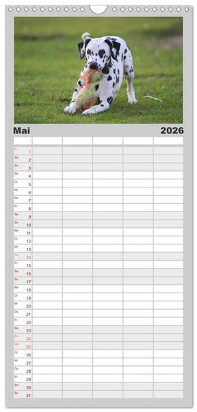 Produktbild: Familienplaner 2026 - Gefleckte Freunde - Hunderasse Dalmatiner mit 5 Spalten (Wandkalender, 21 x 45 cm) CALVENDO