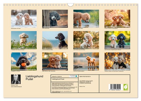 Produktbild: Lieblingshund Pudel (Wandkalender 2027 DIN A3 quer), CALVENDO Monatskalender