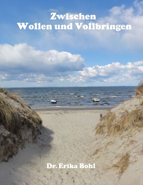 Produktbild: Zwischen Wollen und Vollbringen