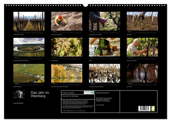 Produktbild: Das Jahr im Weinberg (Wandkalender 2026 DIN A2 quer), CALVENDO Monatskalender