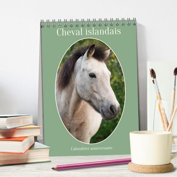 Produktbild: Cheval islandais - Calendrier anniversaire (Calendrier de bureau 2026 DIN A5 horizontal), CALVENDO calendrier mensuel