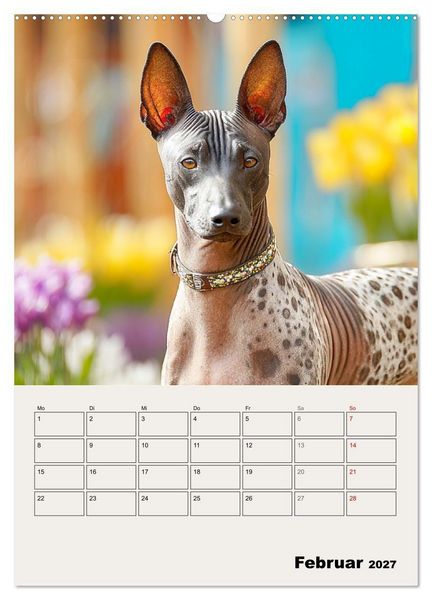 Produktbild: Xolos. Seelenhunde aus Mexiko (Wandkalender 2027 DIN A2 hoch), CALVENDO Monatskalender