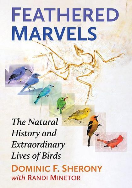 Produktbild: Sherony, D: Feathered Marvels
