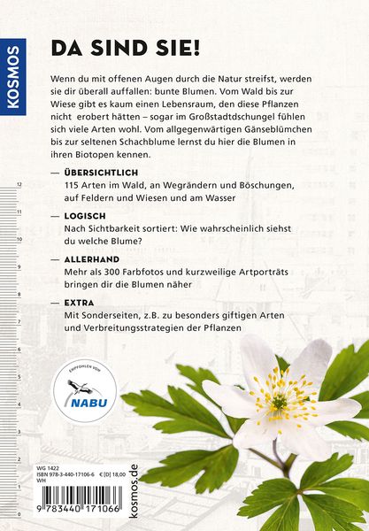 Produktbild: Die siehst du - Blumen